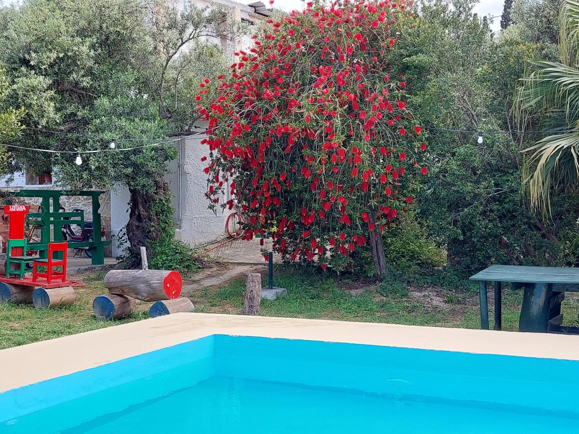 Sofiana'S Garden Retreat With Private Pool Apartment Dhrapaniás Cameră foto
