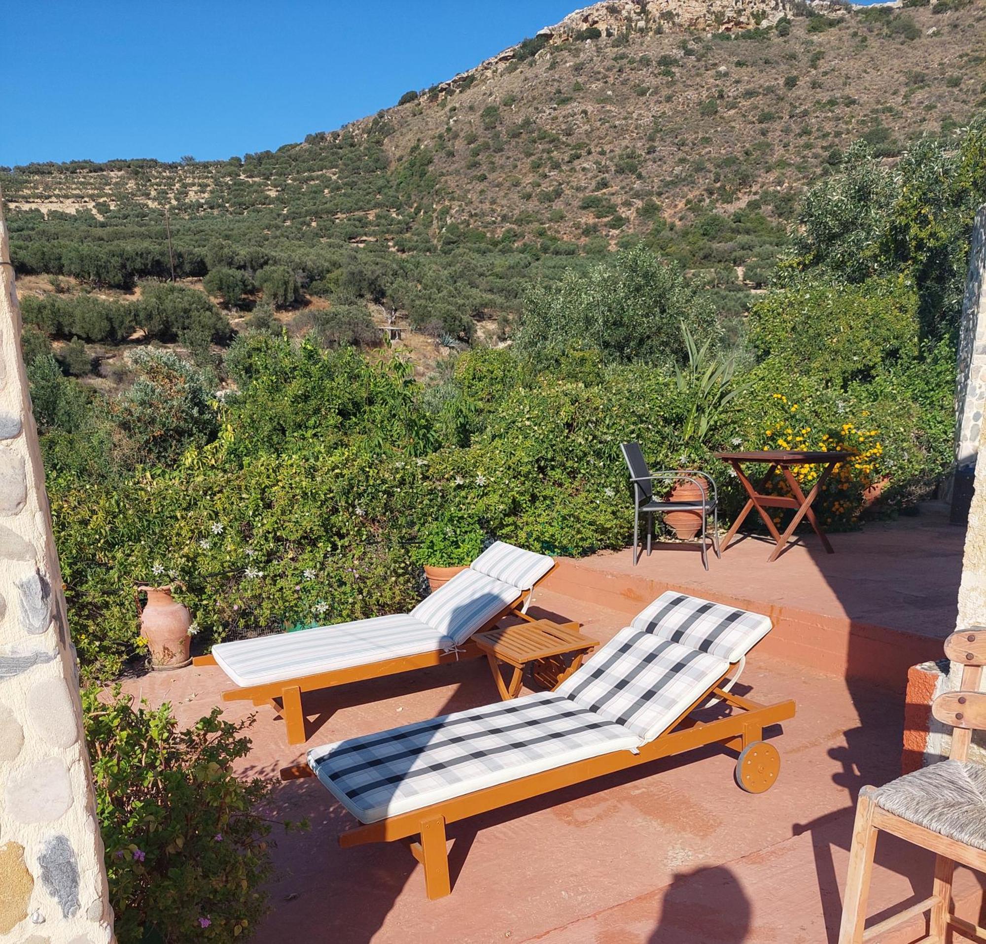 Sofiana'S Garden Retreat With Private Pool Apartment Dhrapaniás Cameră foto