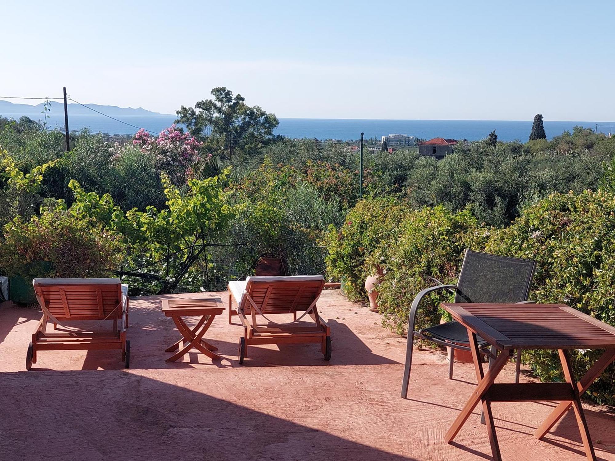 Sofiana'S Garden Retreat With Private Pool Apartment Dhrapaniás Cameră foto